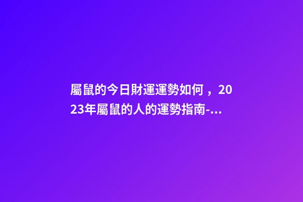 屬鼠的今日財運運勢如何，2023年屬鼠的人的運勢指南-事業有成